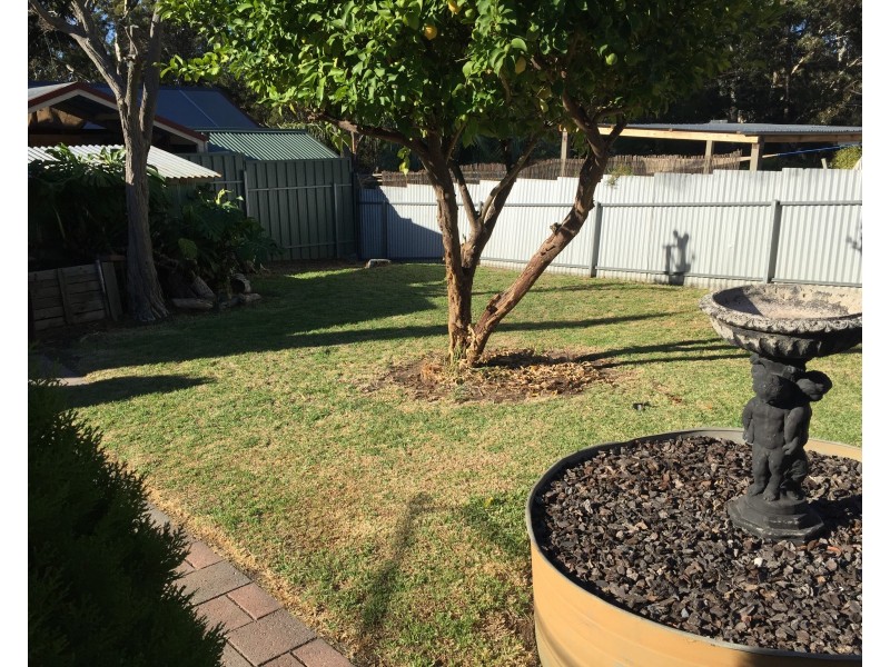 40 Shelley Street, Tea Tree Gully SA 5091