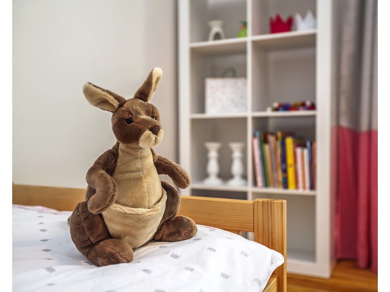 6 Redwood Avenue, Redwood Park SA 5097