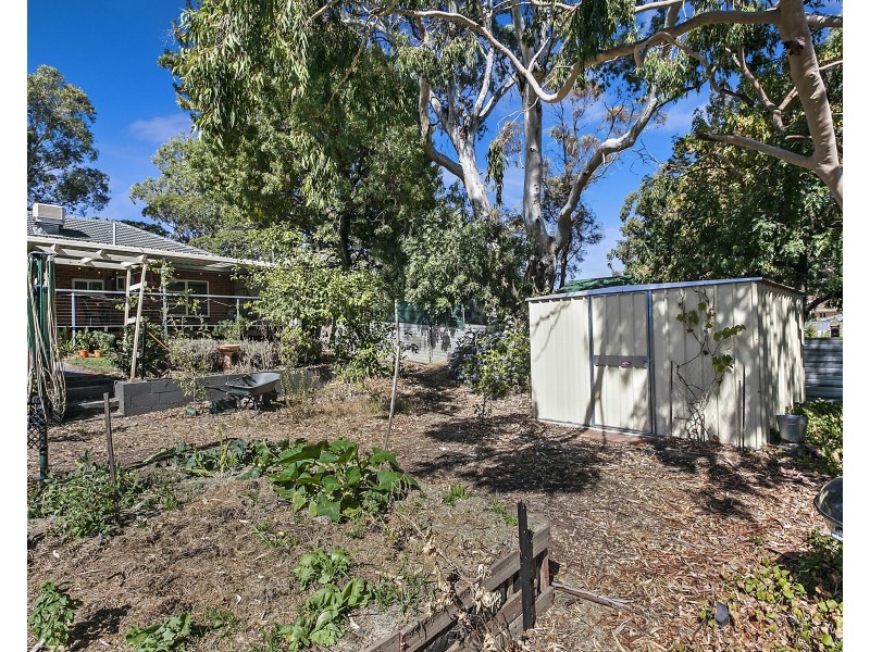 6 Redwood Avenue, Redwood Park SA 5097