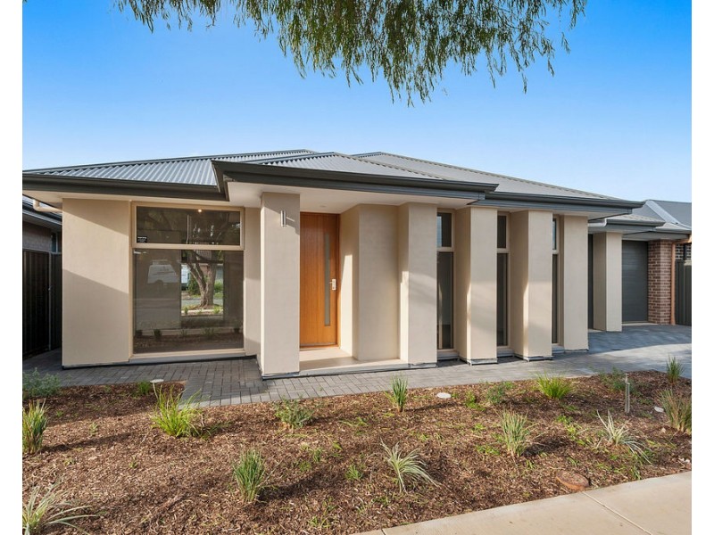 29A Frome Avenue, Hampstead Gardens SA 5086