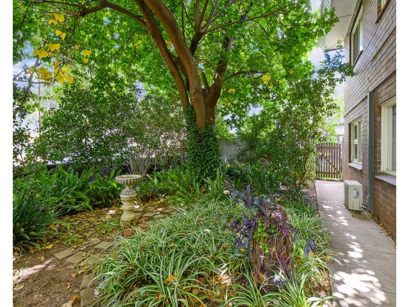 2/75 Ashbrook Avenue, Payneham South SA 5070