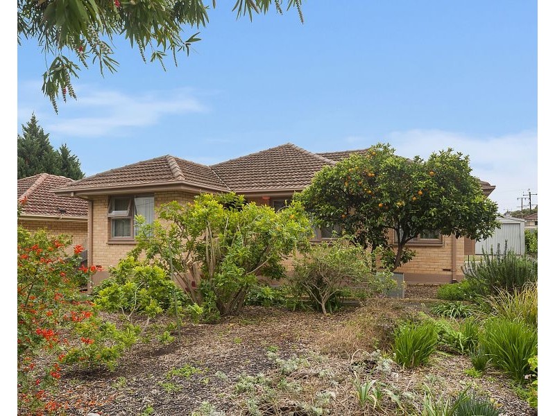31 The Driveway, Holden Hill SA 5088