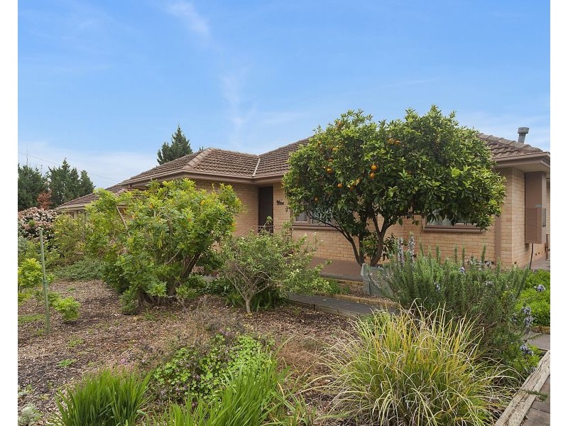 31 The Driveway, Holden Hill SA 5088