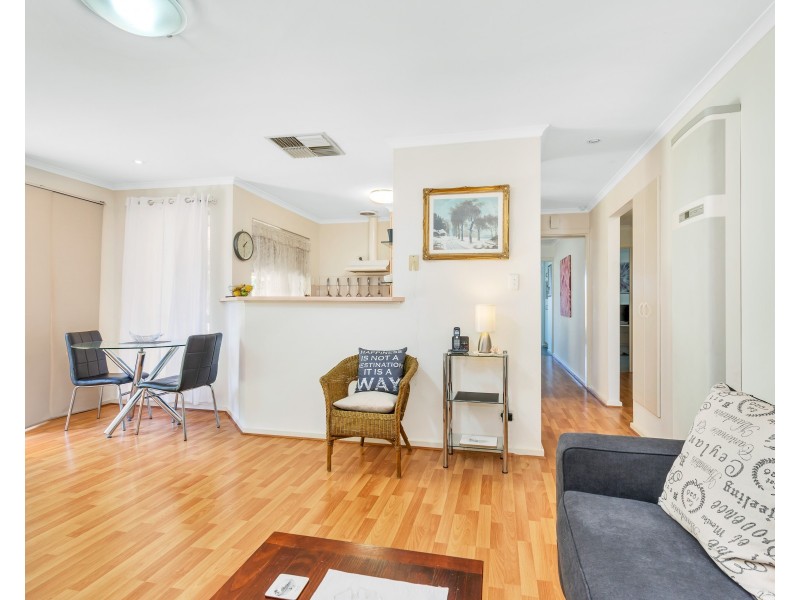 28 Frontignac Court, Wynn Vale SA 5127