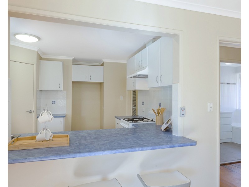 8 Magpie Street, Modbury Heights SA 5092