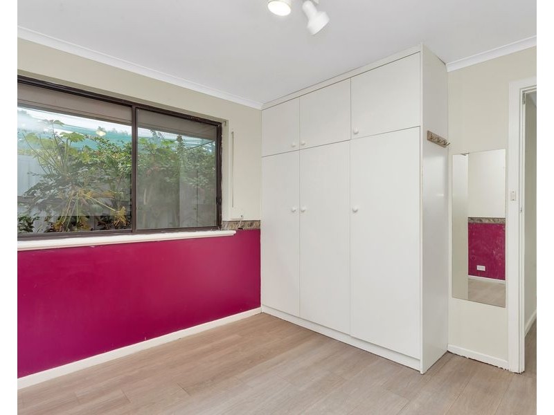 5 Minton Avenue, Modbury Heights SA 5092