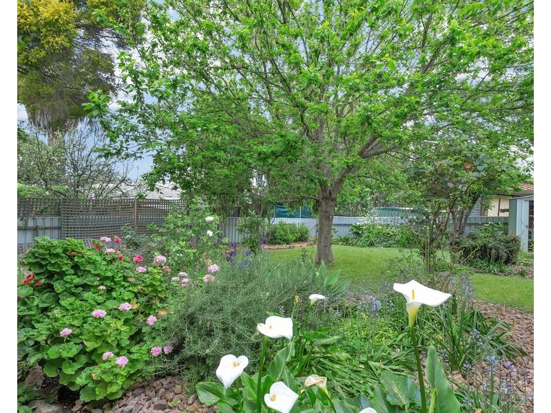 5 Minton Avenue, Modbury Heights SA 5092