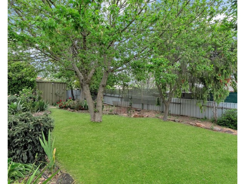 5 Minton Avenue, Modbury Heights SA 5092