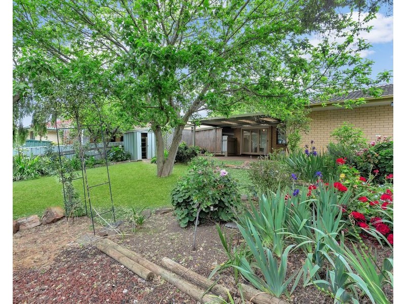 5 Minton Avenue, Modbury Heights SA 5092