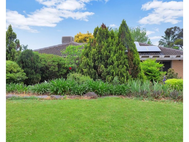 5 Minton Avenue, Modbury Heights SA 5092