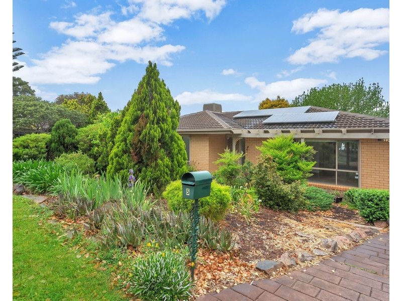5 Minton Avenue, Modbury Heights SA 5092