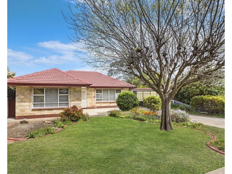 20 Arthur Street, Ridgehaven SA 5097