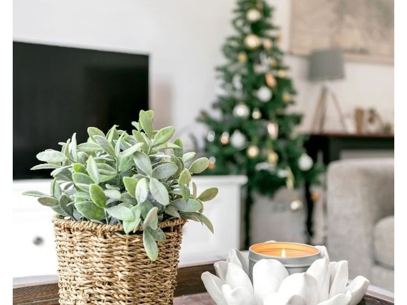 35 Greenwood Drive, St Agnes SA 5097