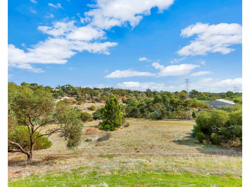16A Tower Court, Walkley Heights SA 5098