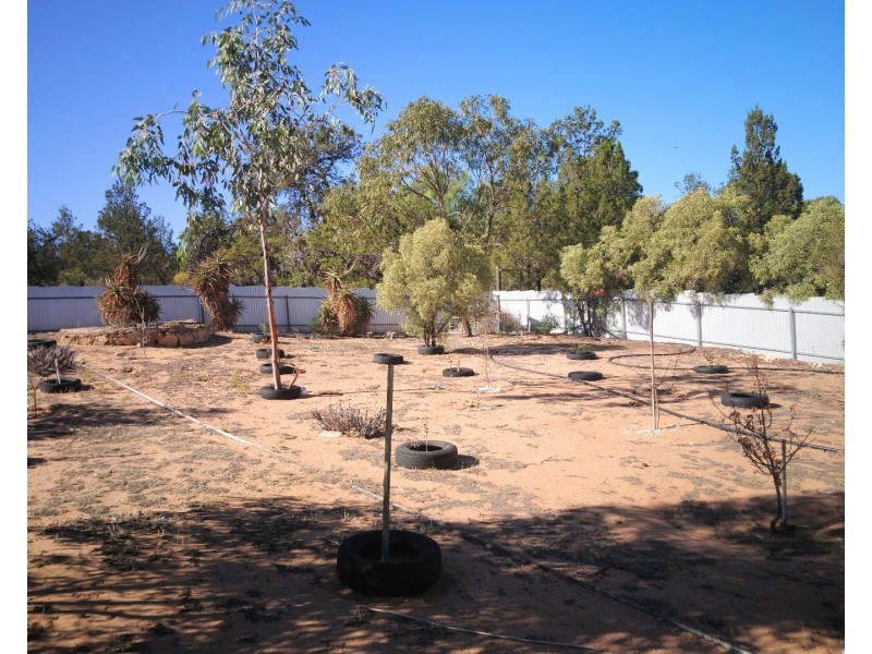 44 Anzac Avenue, Swan Reach SA 5354