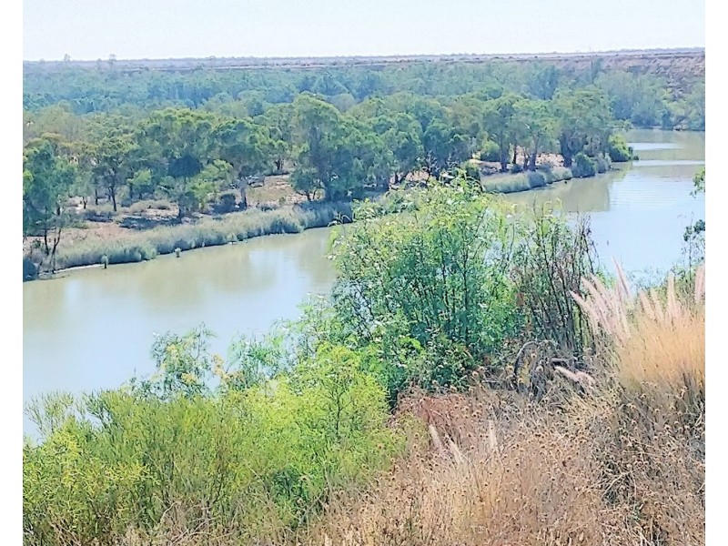 44 Anzac Avenue, Swan Reach SA 5354