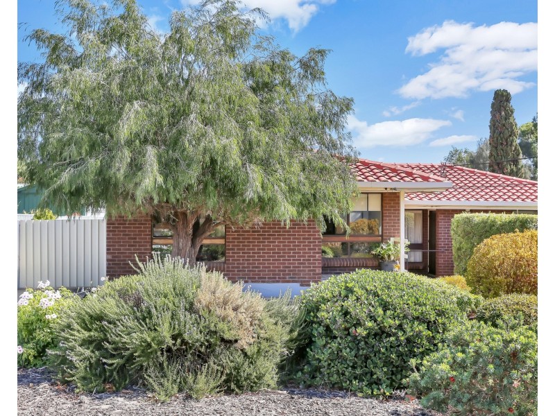 6a Avago Street, St Agnes SA 5097