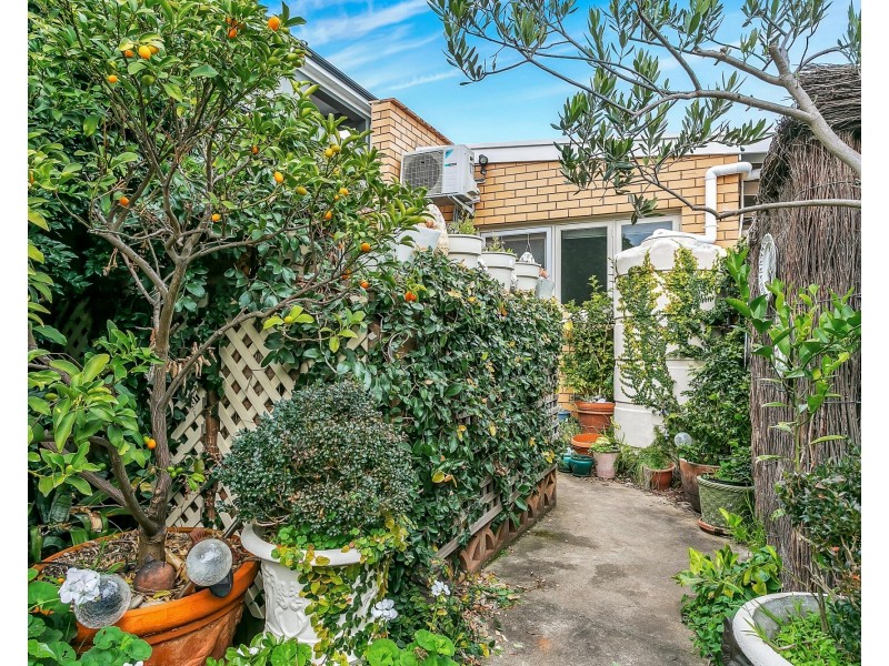 18 Collingwood Avenue, Hazelwood Park SA 5066