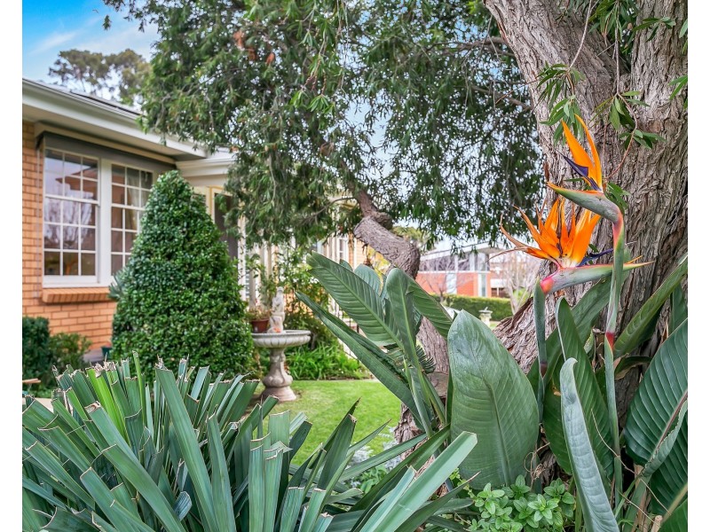 18 Collingwood Avenue, Hazelwood Park SA 5066