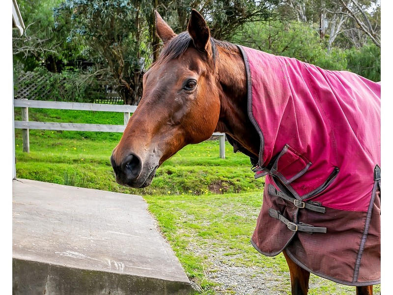 1282 Lower North East Road, Houghton SA 5131