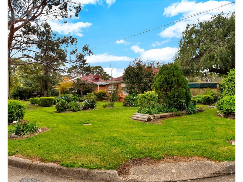 36 Shelley Street, Tea Tree Gully SA 5091
