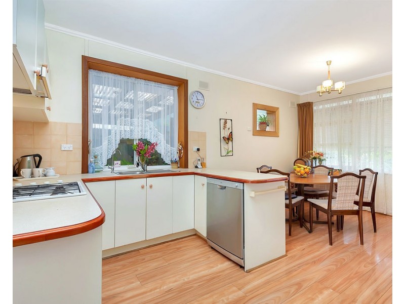 36 Shelley Street, Tea Tree Gully SA 5091