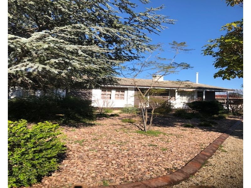 53 Rutherglen Avenue, Valley View SA 5093