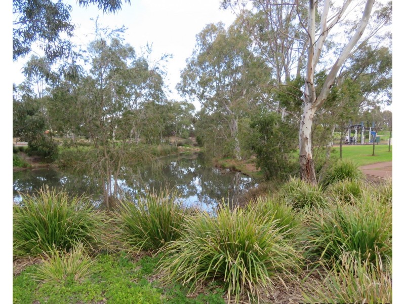 26 Arcadia Drive, Smithfield SA 5114