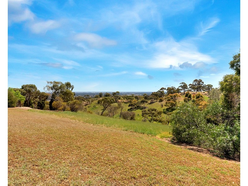 15 Mawson Court, Wynn Vale SA 5127