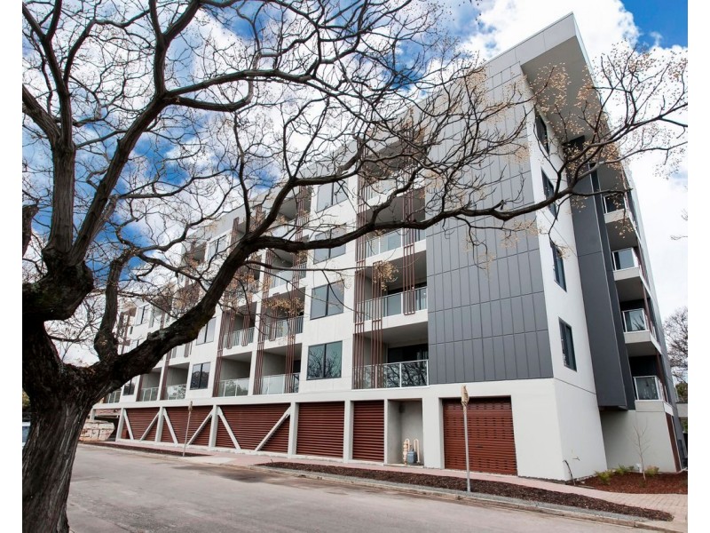 207/99 Anzac Highway, Ashford SA 5035
