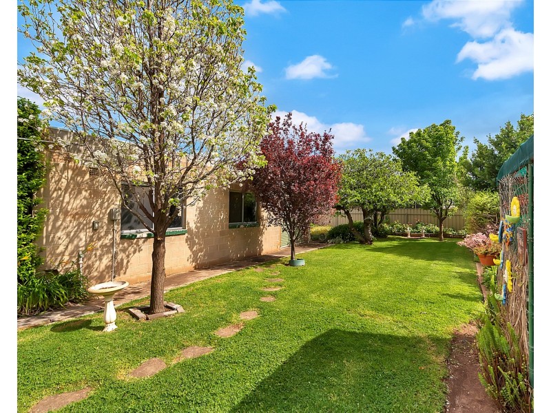 13 Alton  Avenue, Magill SA 5072