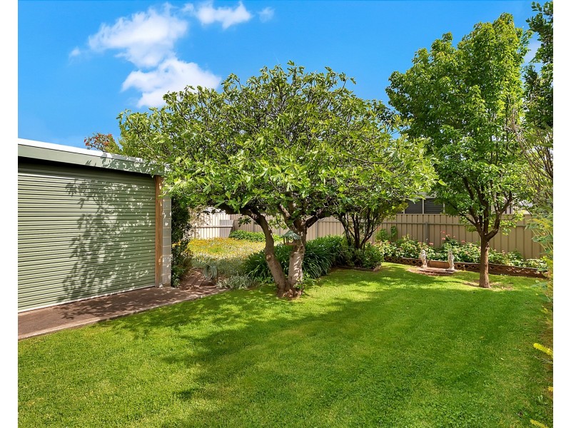 13 Alton  Avenue, Magill SA 5072