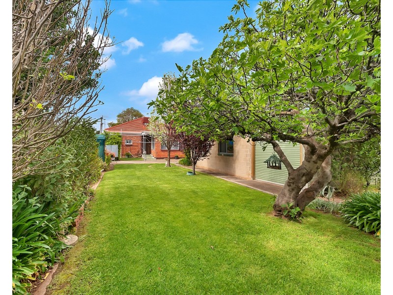 13 Alton  Avenue, Magill SA 5072