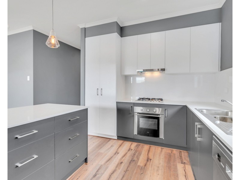 8a Palomino Parade, Wynn Vale SA 5127