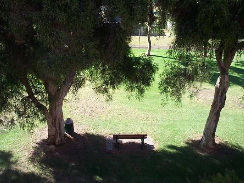 29 Springbank Road, Colonel Light Gardens SA 5041