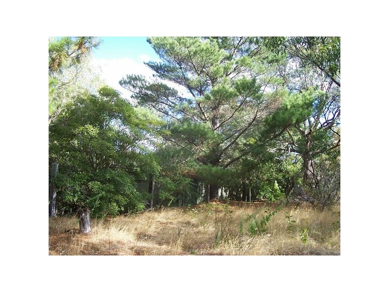 61 Emmett Road, Crafers West SA 5152