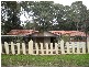 8 Palmer Street, Fairview Park SA 5126