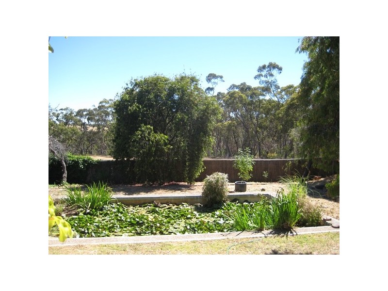 177 BLACK ROAD, Flagstaff Hill SA 5159