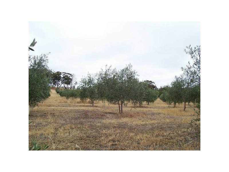 Lot 10 Armata Road off Education Road, Onkaparinga Hills SA 5163