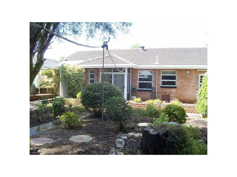 54 Aver Ave, Daw Park SA 5041