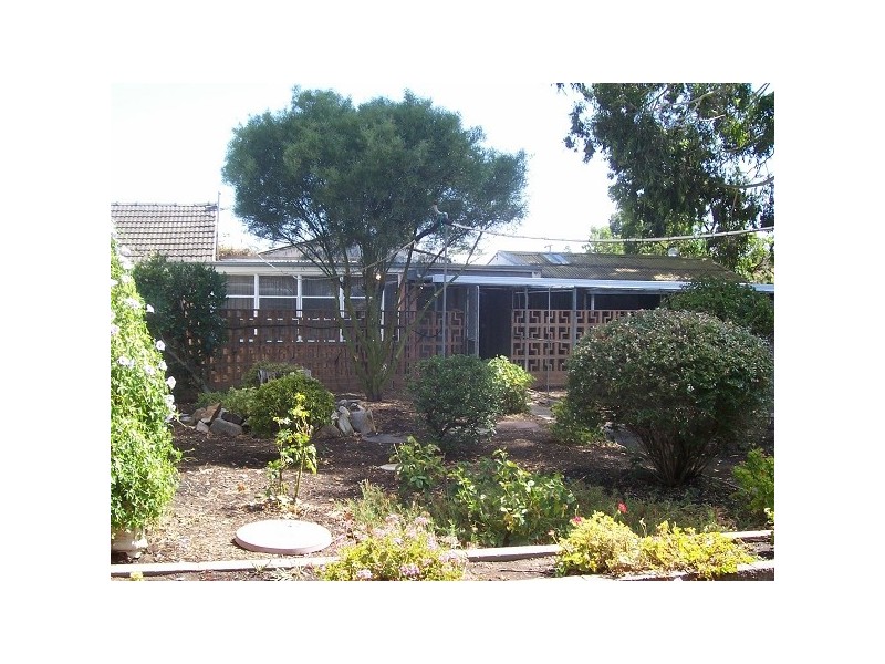 54 Aver Ave, Daw Park SA 5041