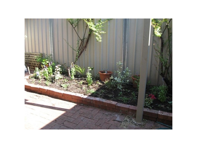 30 Charlotte Place, Adelaide SA 5000