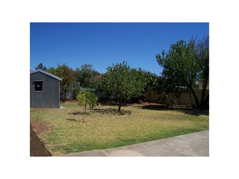 117 Ayers Avenue, Melrose Park SA 5039