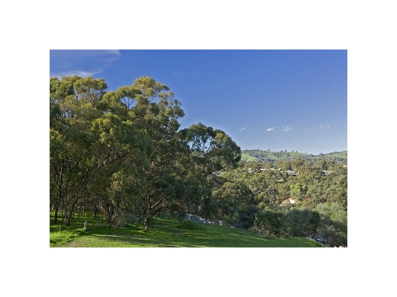 Lot 702/209 Black Road, Flagstaff Hill SA 5159