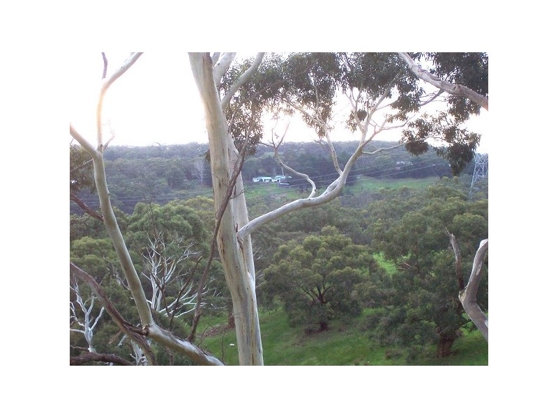 61 Emmett Road, Crafers West SA 5152