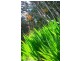 61 Emmett Road, Crafers West SA 5152