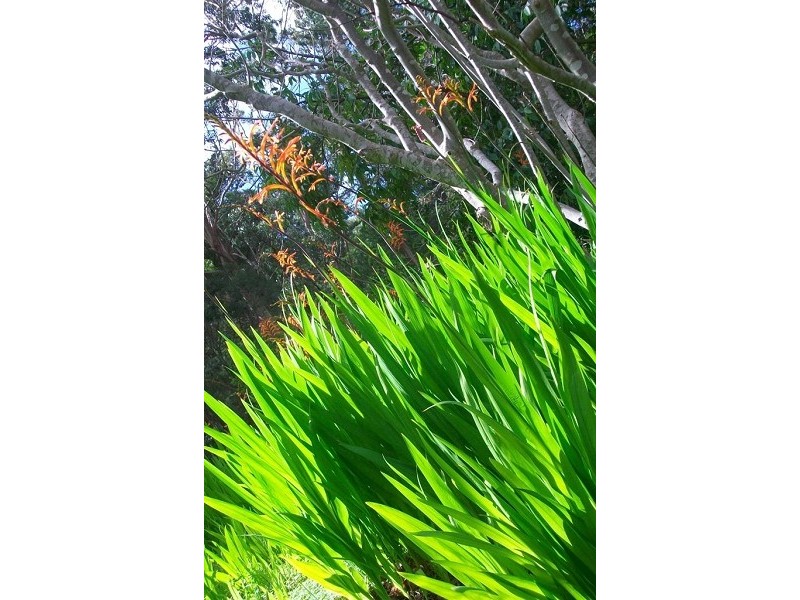 61 Emmett Road, Crafers West SA 5152