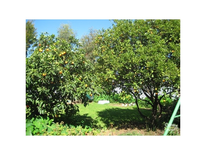 77 Richmond Avenue, Melrose Park SA 5039