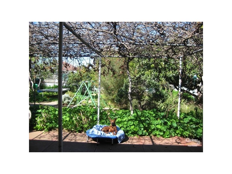 77 Richmond Avenue, Melrose Park SA 5039