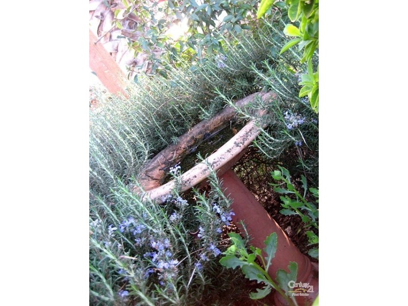 13 Chatham Road, Keswick SA 5035